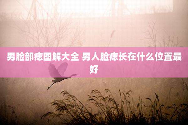 男脸部痣图解大全 男人脸痣长在什么位置最好