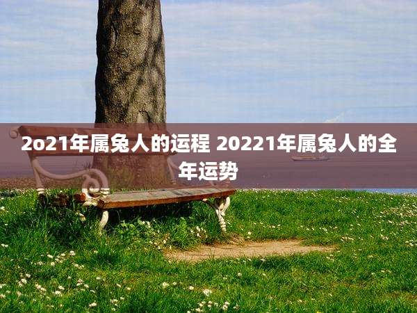 2o21年属兔人的运程 20221年属兔人的全年运势