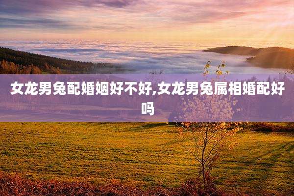 女龙男兔配婚姻好不好,女龙男兔属相婚配好吗