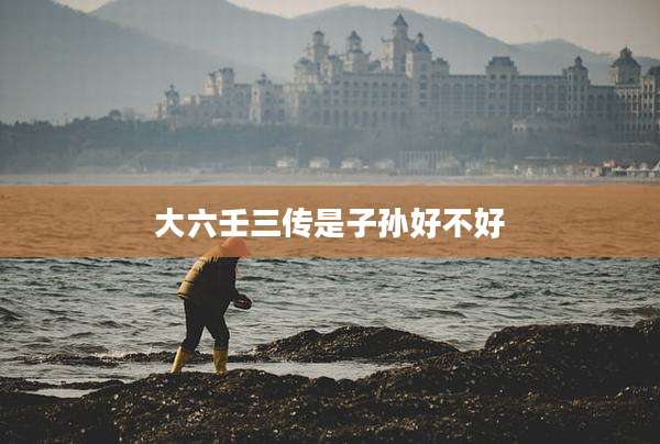 大六壬三传是子孙好不好