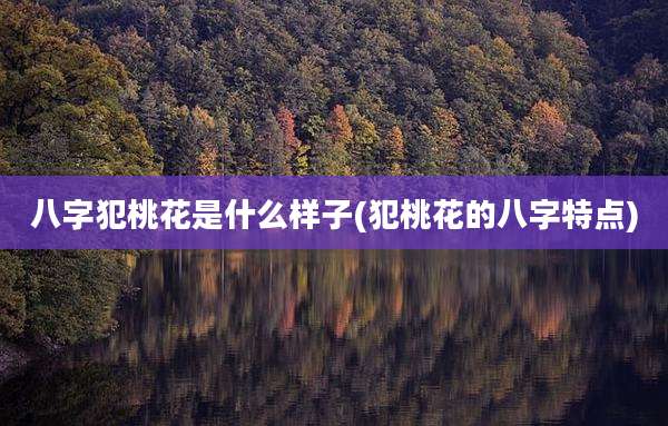 八字犯桃花是什么样子(犯桃花的八字特点)