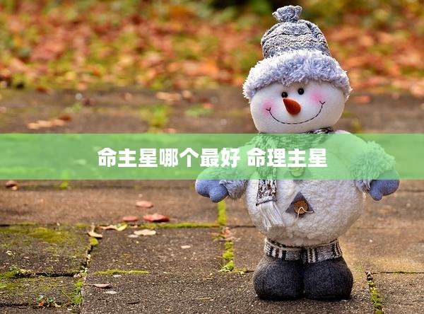 命主星哪个最好 命理主星