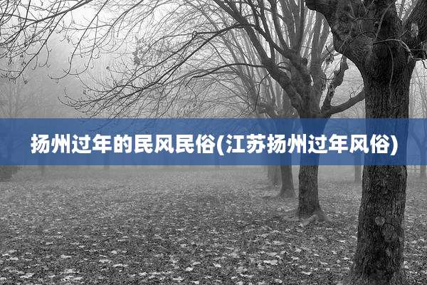 扬州过年的民风民俗(江苏扬州过年风俗)