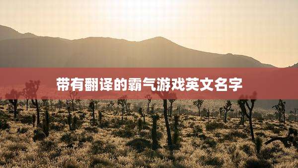 带有翻译的霸气游戏英文名字