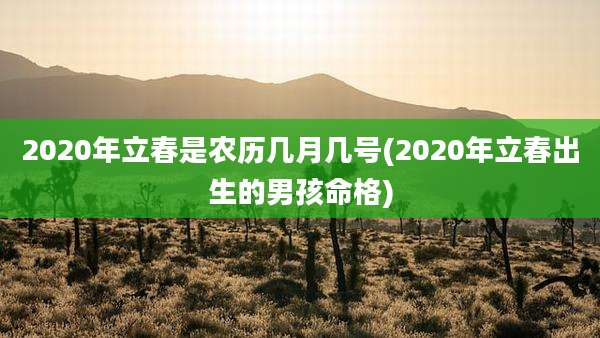 2020年立春是农历几月几号(2020年立春出生的男孩命格)