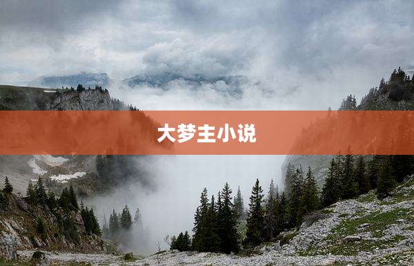 大梦主小说