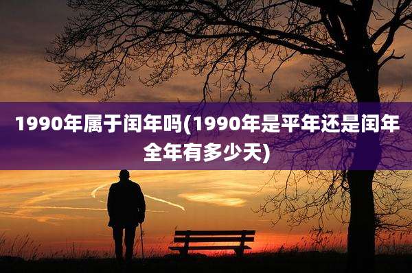 1990年属于闰年吗(1990年是平年还是闰年全年有多少天)