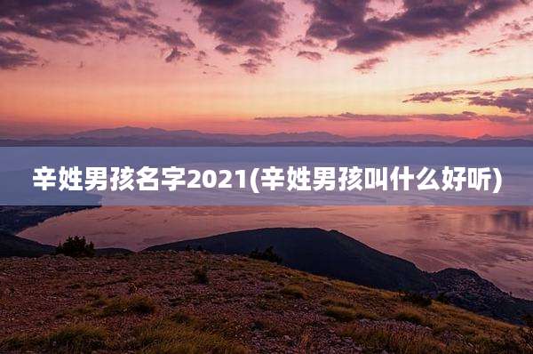 辛姓男孩名字2021(辛姓男孩叫什么好听)