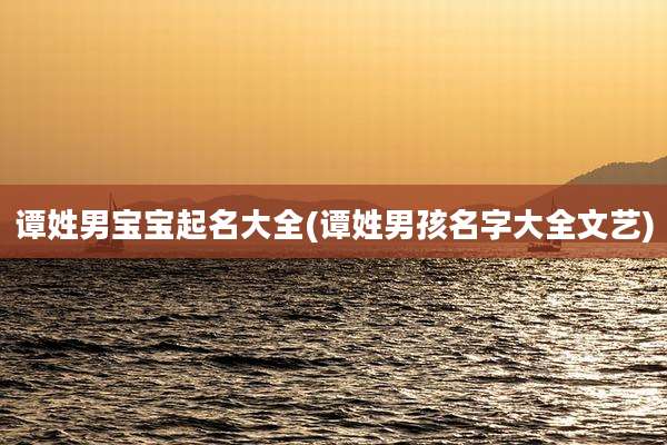 谭姓男宝宝起名大全(谭姓男孩名字大全文艺)