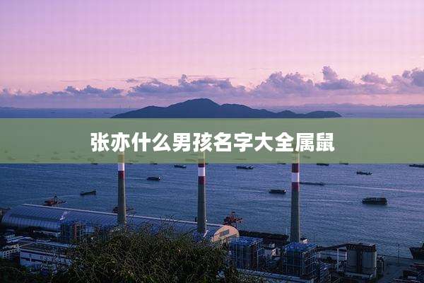张亦什么男孩名字大全属鼠