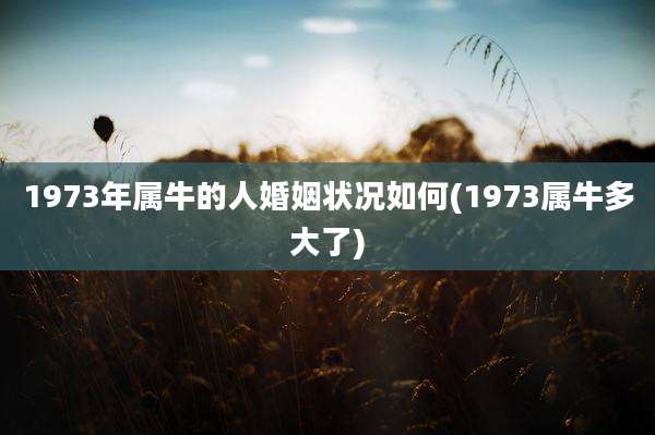 1973年属牛的人婚姻状况如何(1973属牛多大了)