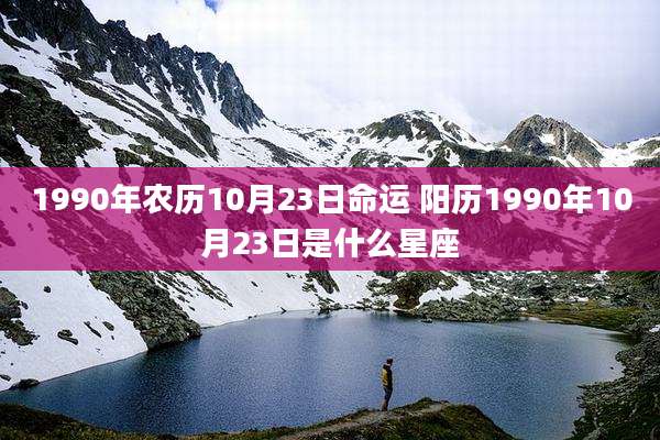 1990年农历10月23日命运 阳历1990年10月23日是什么星座