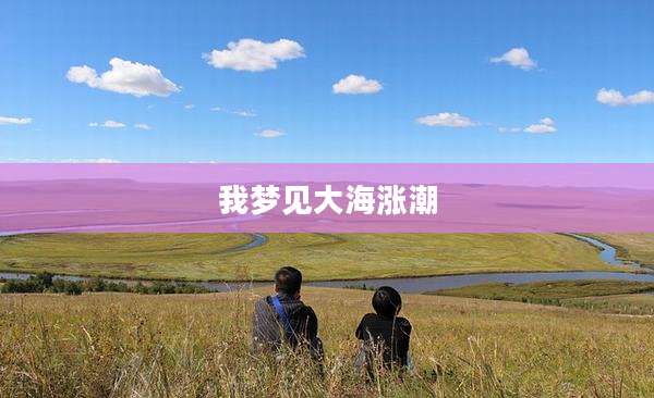 我梦见大海涨潮