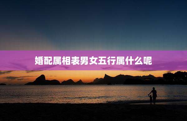 婚配属相表男女五行属什么呢