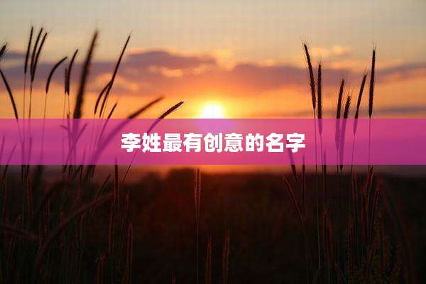 李姓最有创意的名字