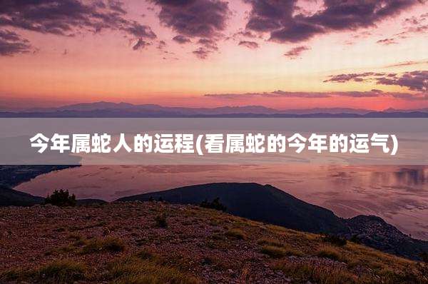 今年属蛇人的运程(看属蛇的今年的运气)