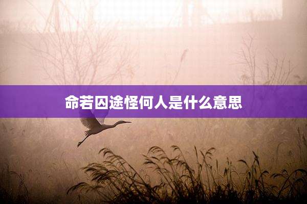命若囚途怪何人是什么意思