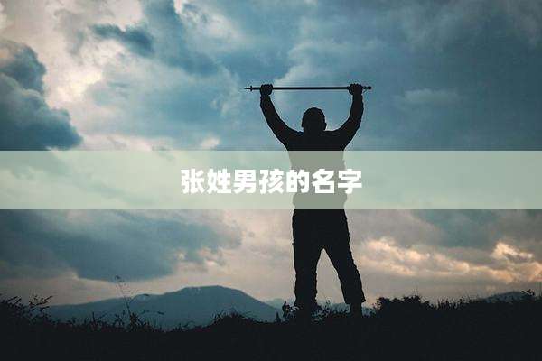 张姓男孩的名字