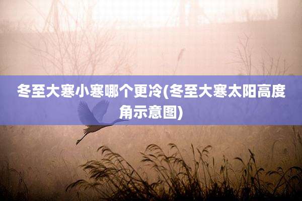 冬至大寒小寒哪个更冷(冬至大寒太阳高度角示意图)