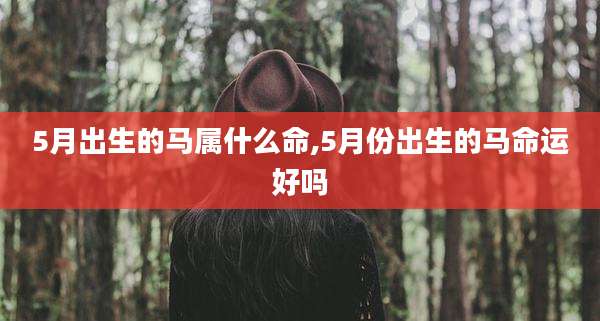 5月出生的马属什么命,5月份出生的马命运好吗