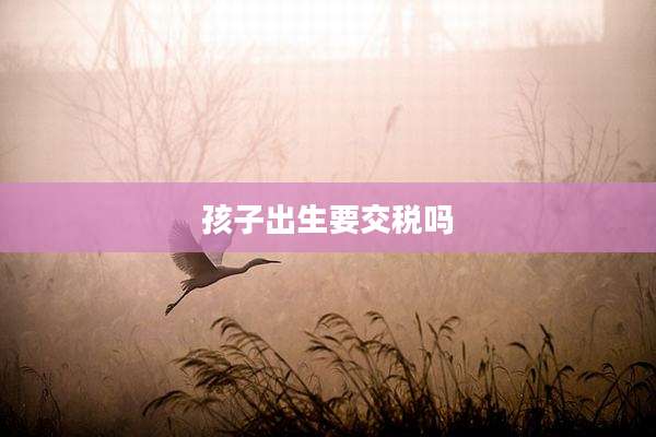 孩子出生要交税吗