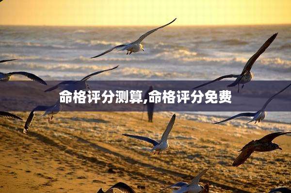 命格评分测算,命格评分免费