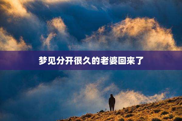 梦见分开很久的老婆回来了