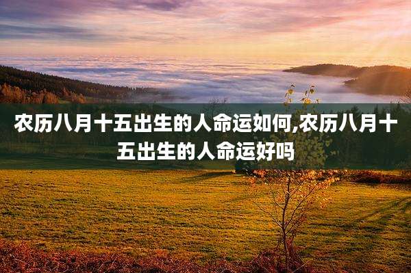 农历八月十五出生的人命运如何,农历八月十五出生的人命运好吗