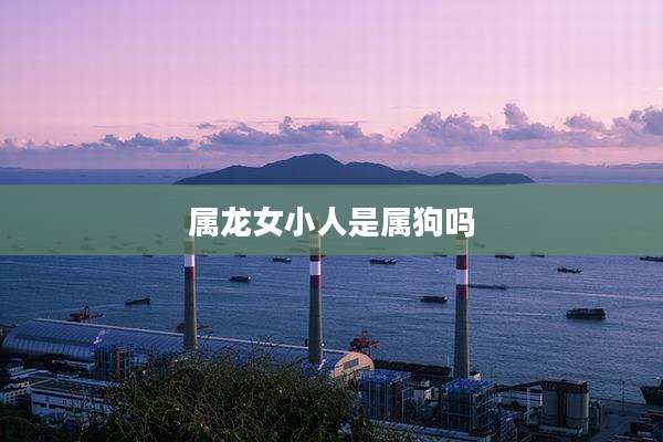属龙女小人是属狗吗