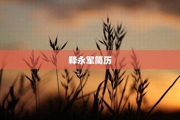 释永军简历