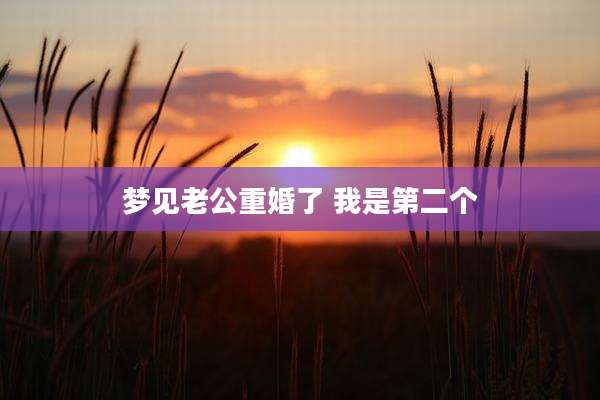 梦见老公重婚了 我是第二个