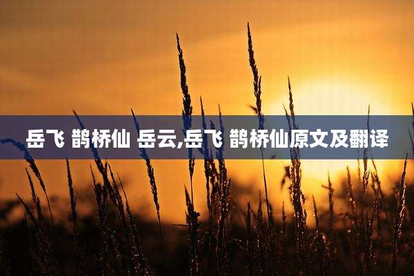 岳飞 鹊桥仙 岳云,岳飞 鹊桥仙原文及翻译