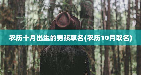 农历十月出生的男孩取名(农历10月取名)