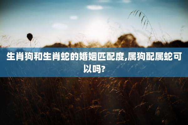 生肖狗和生肖蛇的婚姻匹配度,属狗配属蛇可以吗?