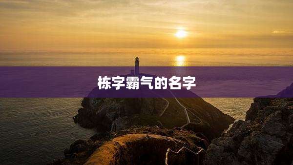 栋字霸气的名字