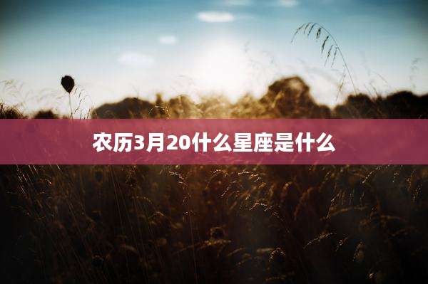 农历3月20什么星座是什么
