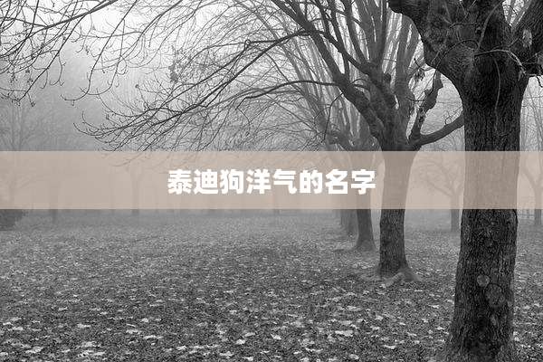 泰迪狗洋气的名字