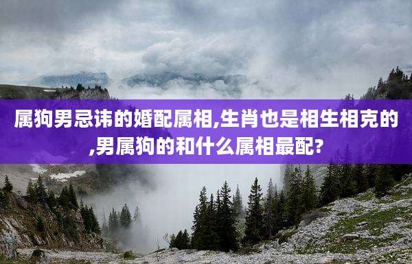 属狗男忌讳的婚配属相,生肖也是相生相克的,男属狗的和什么属相最配?