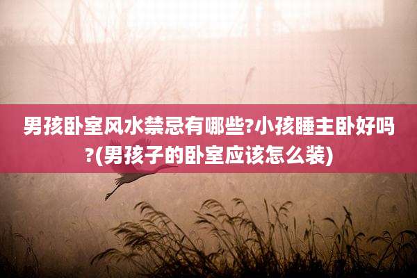 男孩卧室风水禁忌有哪些?小孩睡主卧好吗?(男孩子的卧室应该怎么装)