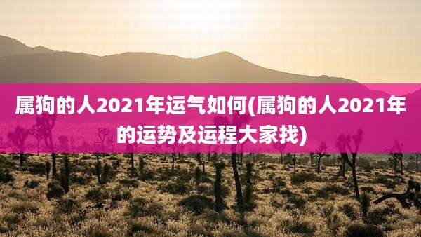 属狗的人2021年运气如何(属狗的人2021年的运势及运程大家找)