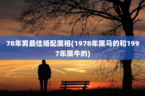 78年男最佳婚配属相(1978年属马的和1997年属牛的)