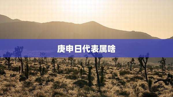 庚申日代表属啥