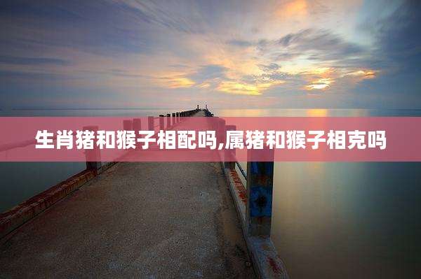 生肖猪和猴子相配吗,属猪和猴子相克吗