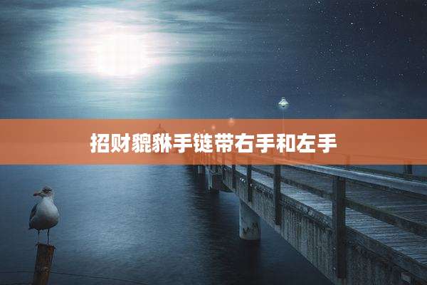 招财貔貅手链带右手和左手