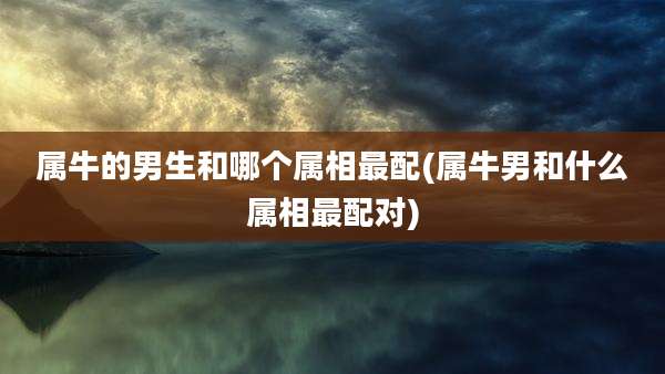 属牛的男生和哪个属相最配(属牛男和什么属相最配对)