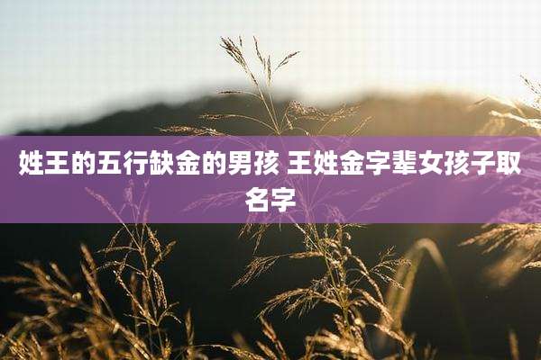 姓王的五行缺金的男孩 王姓金字辈女孩子取名字