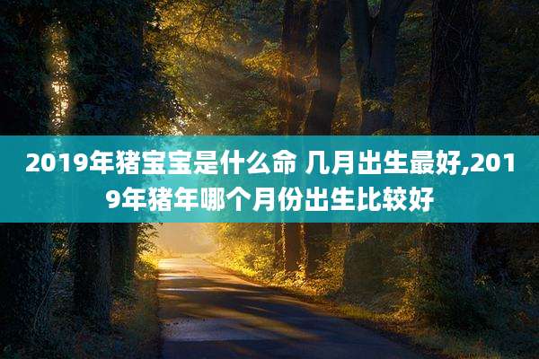 2019年猪宝宝是什么命 几月出生最好,2019年猪年哪个月份出生比较好