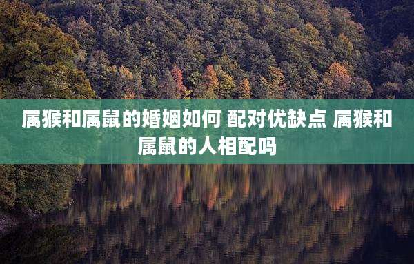 属猴和属鼠的婚姻如何 配对优缺点 属猴和属鼠的人相配吗
