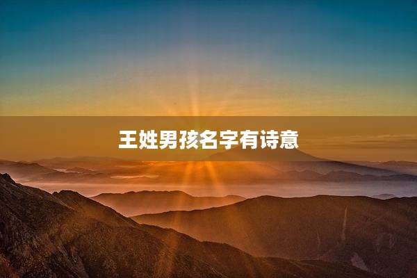 王姓男孩名字有诗意