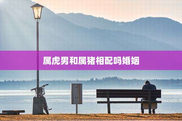 属虎男和属猪相配吗婚姻